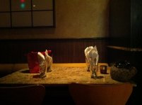 IMG_0222.jpg