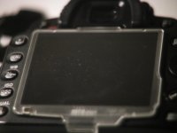IMG_1372.jpg
