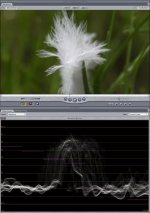 Feather Exposure.jpg Feather Exposure.jpg