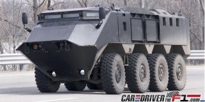 8x8-005.jpg