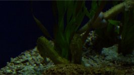 Picture 5.jpg