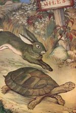The turtle and the hare.jpg The turtle and the hare.jpg