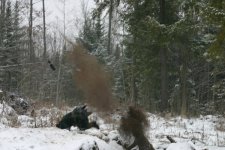 DVX_USERIMG_7474.jpg