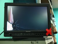 P17damaged.jpg