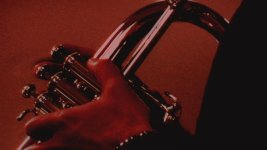 Trumpet_player_closeup_2.jpg