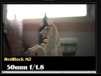 Redrock Unicorn.jpg