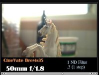 Brevis Unicorn.jpg