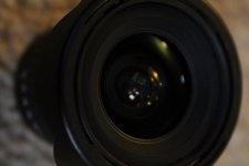 IMG_6880.jpg