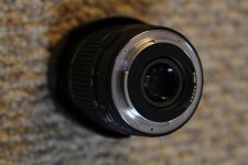 IMG_6885.jpg