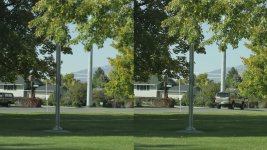 7d_Compare_2.jpg