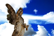 angelcontrast2.jpg