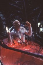 matrix1.jpg