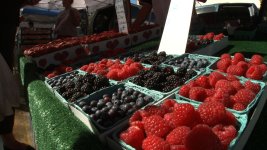 Berries.jpg
