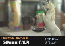 Brevis.JPG