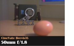 Brevis-2.JPG