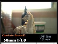 Brevis Unicorn .jpg