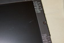 carrion-detail.jpg
