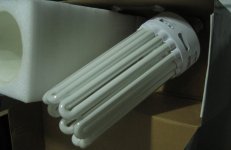 koolight 1 CFL.jpg
