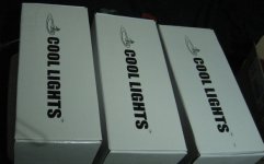 koolight 1 CFL boxes.jpg