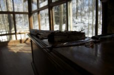 DSC_0003.jpg DSC_0003.jpg