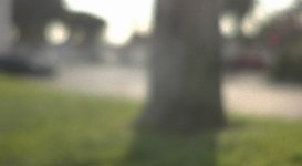 letus35fe_tree_bokeh_off.jpg