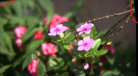 54188583h704eefa98545&690.jpg