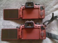 IMG_0466[1].jpg