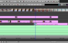 Thumbnails.jpg