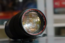 P1030251-web.jpg