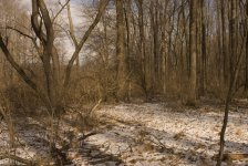 DSC_0376.jpg