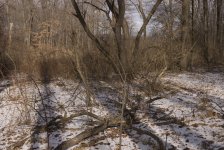 DSC_0380.jpg