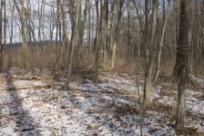 DSC_0393.jpg