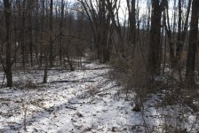 DSC_0398.jpg