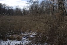DSC_0404.jpg