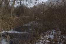 DSC_0409.jpg