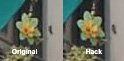 Still-Zoom-Vergleich.jpg