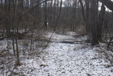 DSC_0421.jpg