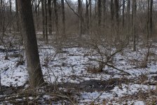 DSC_0422.jpg