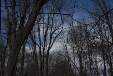 DSC_0426.jpg