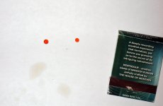 Two_Orange_Thingies.jpg