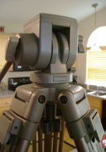 d428_3.jpg