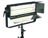 Fluorescent2x55watts.jpg