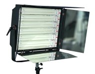 Fluorescent6x55watts.jpg