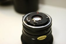IMG_3556.JPG