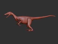 Raptor.jpg
