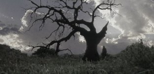 Untitled-1.jpg