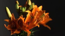 flowers.jpg
