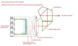 Novus-design.jpg