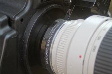 IMG_9594.jpg