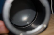 DSC_2411.JPG